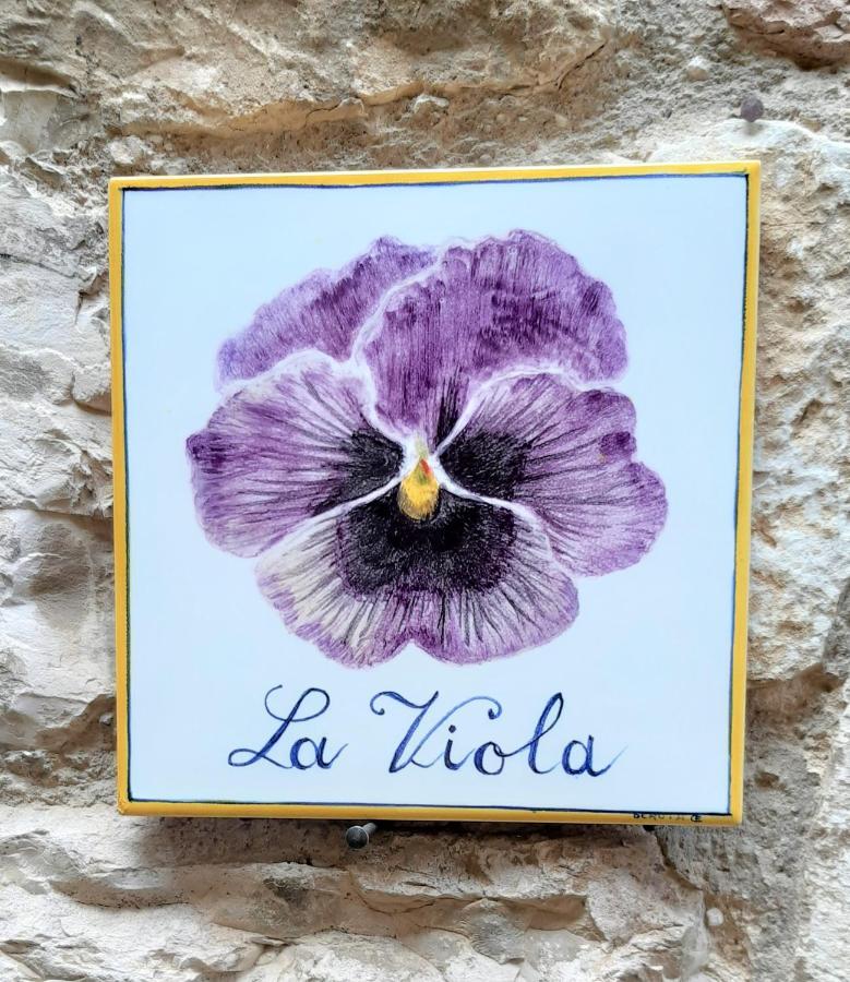 Hotel La Viola Di Asís Exterior foto