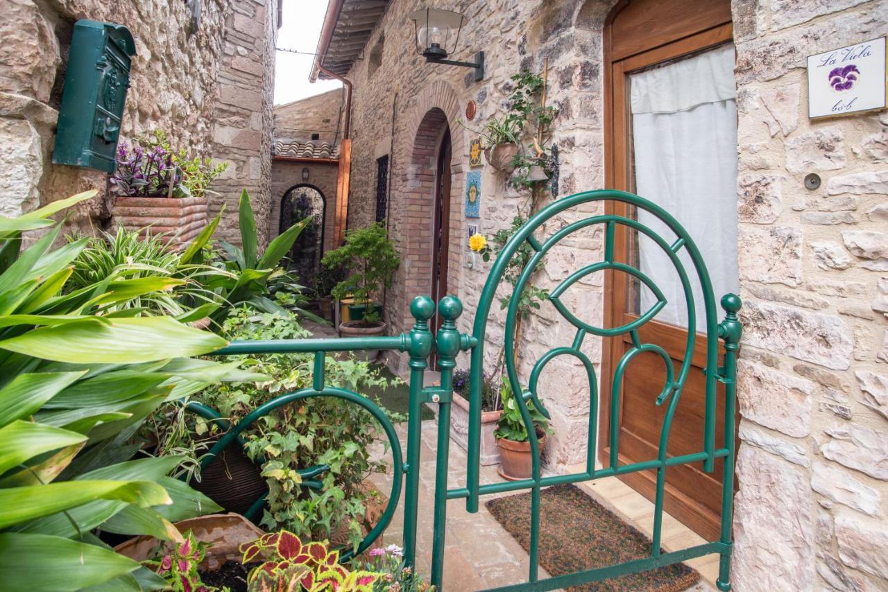 Hotel La Viola Di Asís Exterior foto